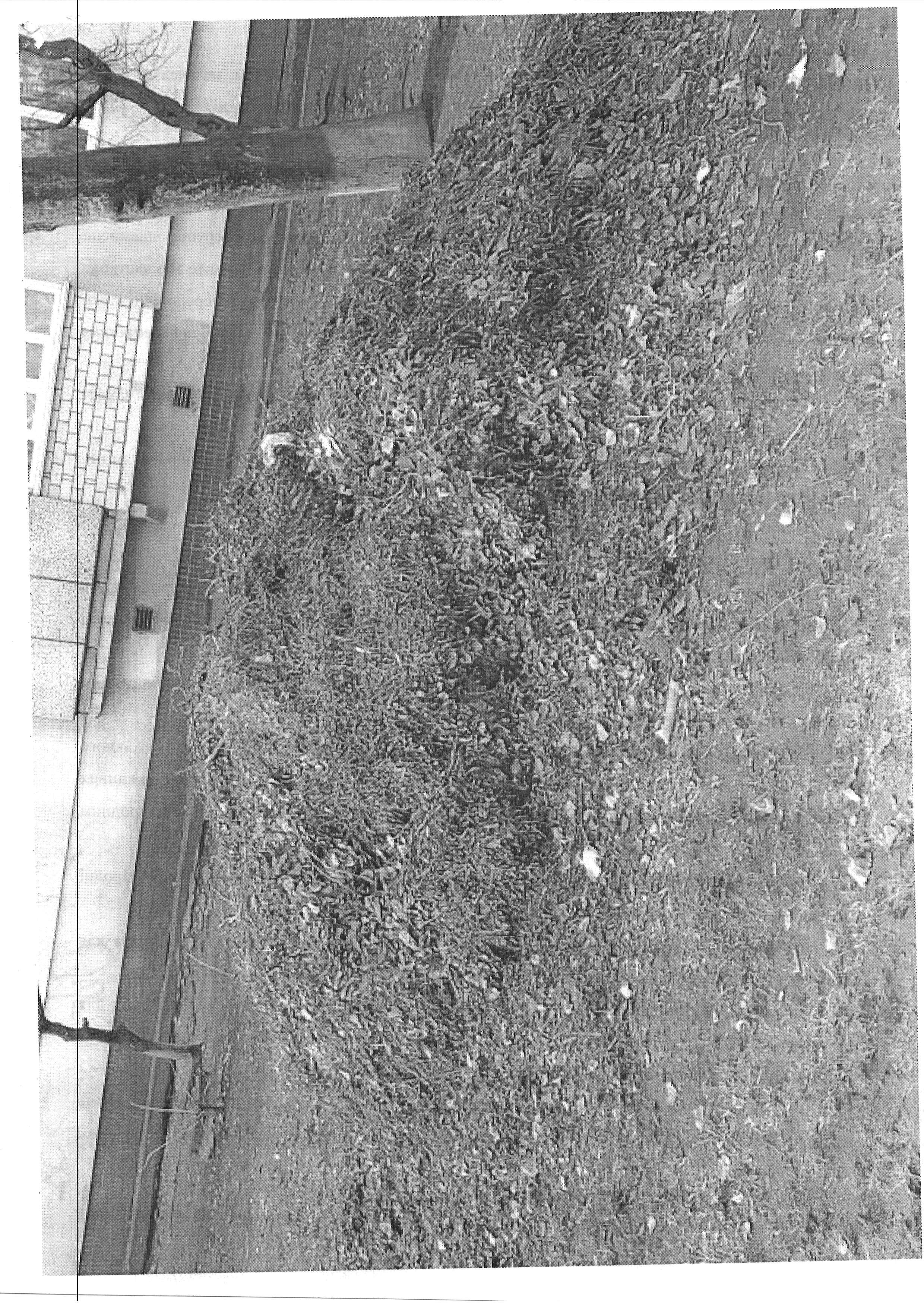 SCAN0016